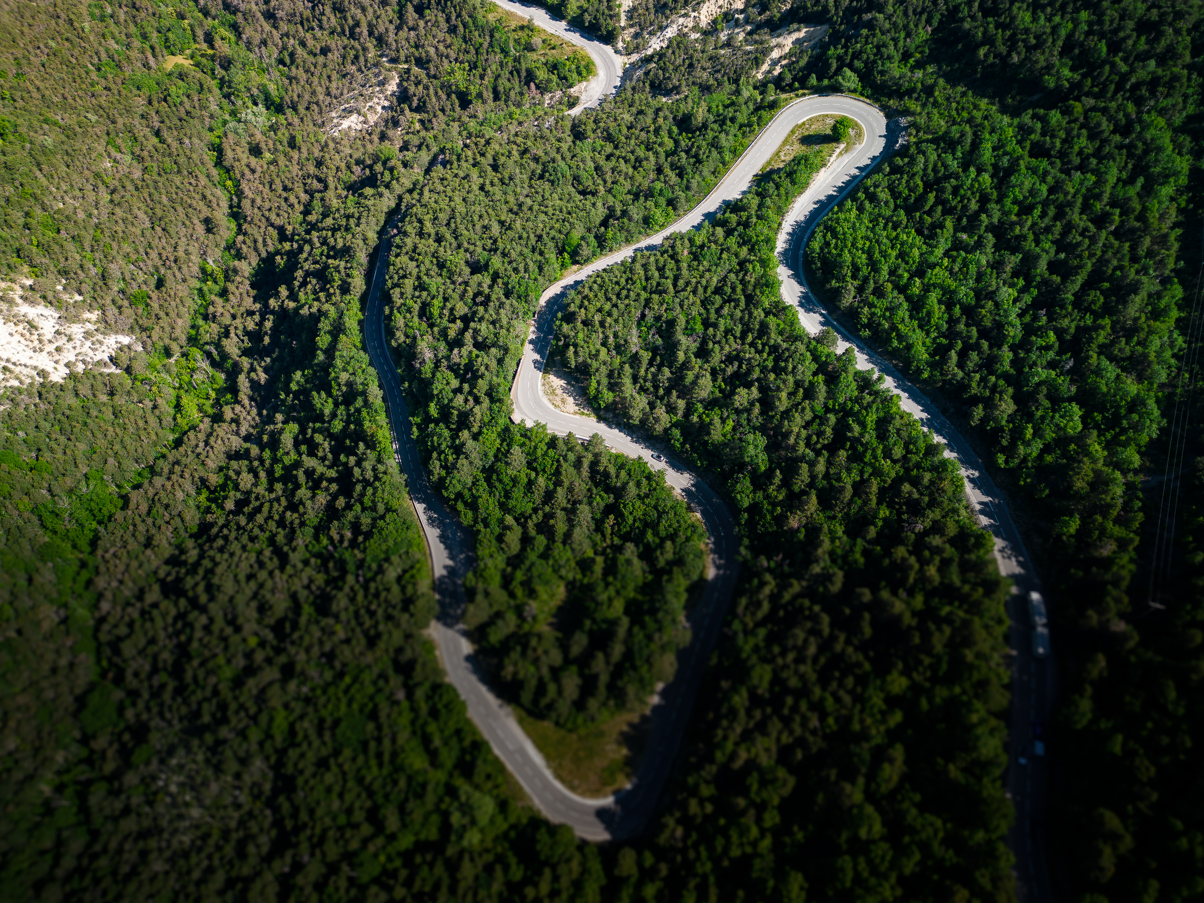 Winding road through forest — drone